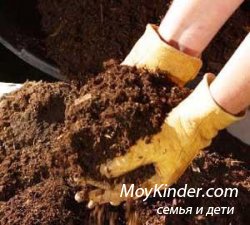 Сад и огород в ноябре Сад и огород в ноябре