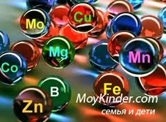 Значение витаминов и микроэлементов для здоровья Значение витаминов и микроэлементов для здоровья
