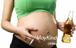 Кровь или молоко? Кровь или молоко?