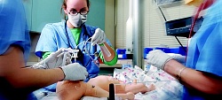 Течения критических состояний у новорожденных Течения критических состояний у новорожденных
